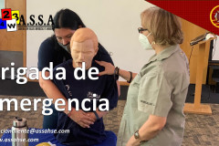 Diapositiva8